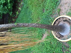 post-13452-0-19353100-1429531877_thumb.j