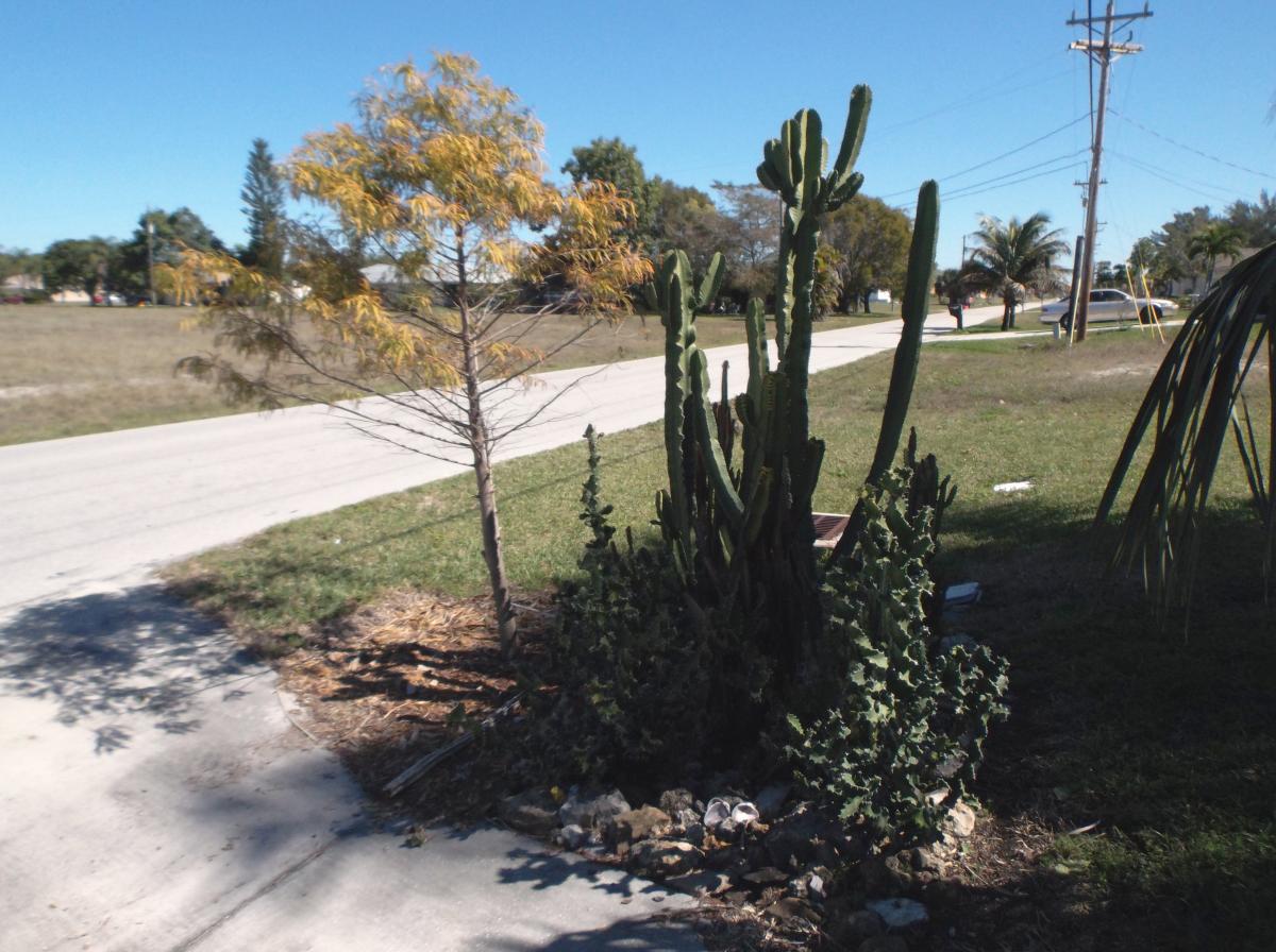 East Side around the House