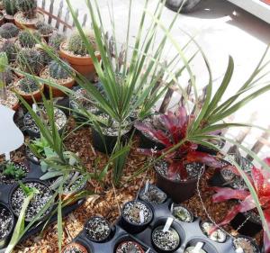 post-1349-044441700 1329510428_thumb.jpg