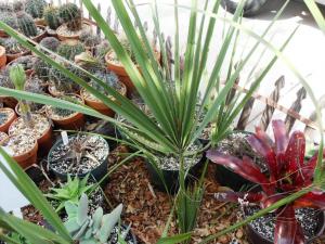 post-1349-078096300 1329510443_thumb.jpg