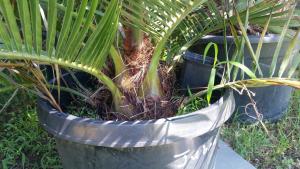 post-14014-0-20753800-1434974962_thumb.j