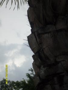 post-1464-0-74635300-1342370880_thumb.jp