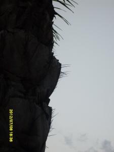 post-1464-0-92813400-1342370868_thumb.jp