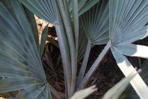 post-1490-050605100 1316047994_thumb.jpg