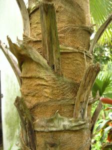 post-1532-002919700 1330838893_thumb.jpg