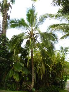 post-1532-011929100 1330843634_thumb.jpg