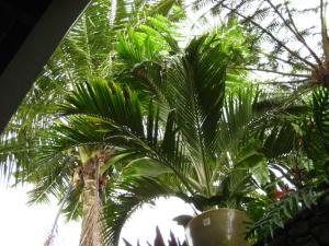 post-1532-030618600 1330831026_thumb.jpg