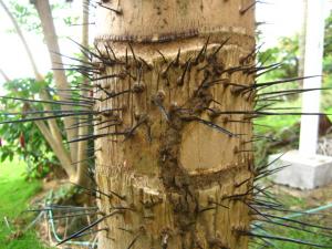 post-1532-030862700 1330833207_thumb.jpg