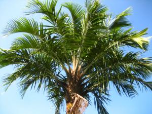 post-1532-055308900 1330833341_thumb.jpg