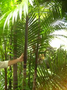 post-1532-063087400 1330842170_thumb.jpg