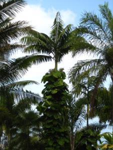 post-1532-065162400 1330841303_thumb.jpg