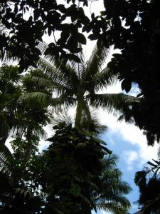 post-1532-070282300 1330841307_thumb.jpg