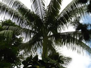 post-1532-071303500 1330841311_thumb.jpg