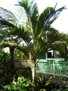 post-1532-076601300 1330840699_thumb.jpg