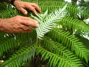 post-1532-087665300 1330831718_thumb.jpg