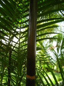 post-1532-098459600 1330842552_thumb.jpg