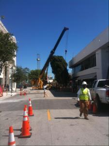 post-1566-0-51843700-1351540343_thumb.jp