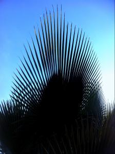 post-1566-011612800 1316176038_thumb.jpg