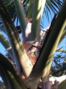 post-1566-013286100 1333665100_thumb.jpg