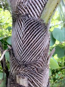 post-1566-019298100 1320941951_thumb.jpg