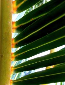 post-1566-026534400 1316702499_thumb.jpg