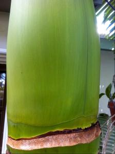 post-1566-028491900 1317230788_thumb.jpg