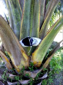 post-1566-028777000 1316177615_thumb.jpg