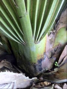 post-1566-036409200 1316019524_thumb.jpg