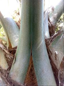 post-1566-040411000 1334253011_thumb.jpg