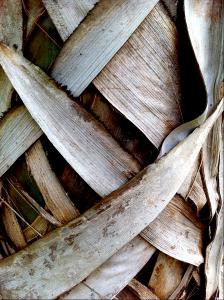 post-1566-058978000 1316702549_thumb.jpg