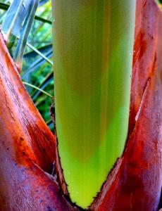 post-1566-066626900 1316702523_thumb.jpg