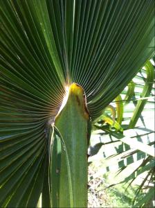 post-1566-071836800 1316176985_thumb.jpg