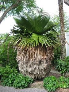 post-1566-073493900 1316090488_thumb.jpg