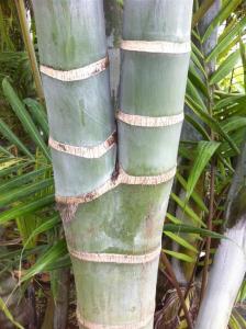 post-1566-076270000 1321962845_thumb.jpg