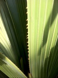 post-1566-086591900 1324646734_thumb.jpg