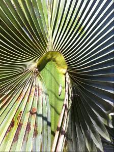 post-1566-090413900 1316176946_thumb.jpg