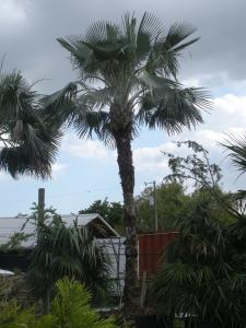 post-1566-091980500 1316005270_thumb.jpg