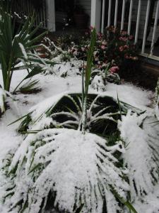 post-158-072924900 1327072818_thumb.jpg