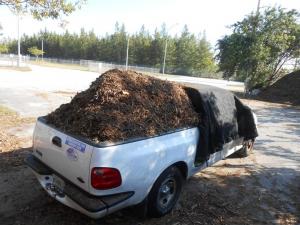 post-1729-0-04559600-1359586943_thumb.jp