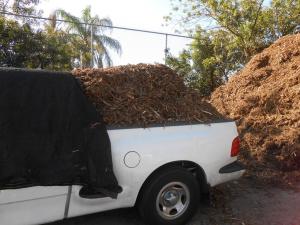 post-1729-0-20578900-1359586873_thumb.jp