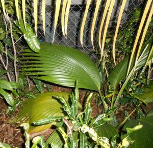 post-1729-0-33481200-1364419133_thumb.jp