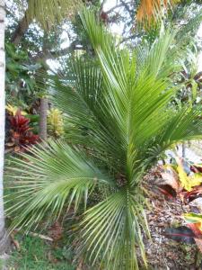 post-1729-0-35147600-1357039459_thumb.jp