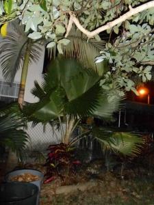 post-1729-0-84691700-1364419461_thumb.jp