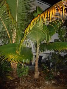 post-1729-0-92130200-1364418936_thumb.jp