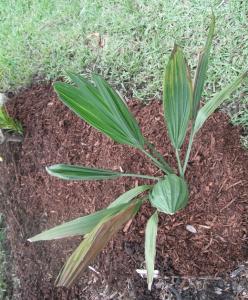 post-1729-0-92268000-1348358711_thumb.jp