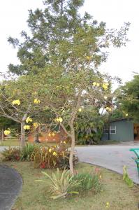 post-1729-030183600 1329343431_thumb.jpg