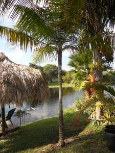 post-1729-033354400 1323028494_thumb.jpg