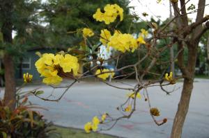 post-1729-035575900 1329345532_thumb.jpg