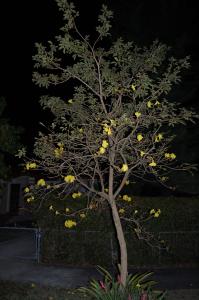 post-1729-071935700 1329565570_thumb.jpg