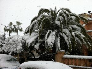 post-1753-0-84941400-1373176271_thumb.jp